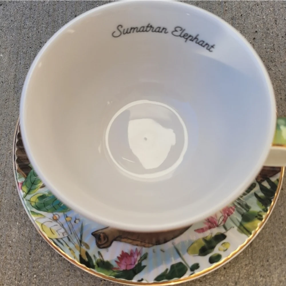 T2 Tea cup and saucer set NWOT